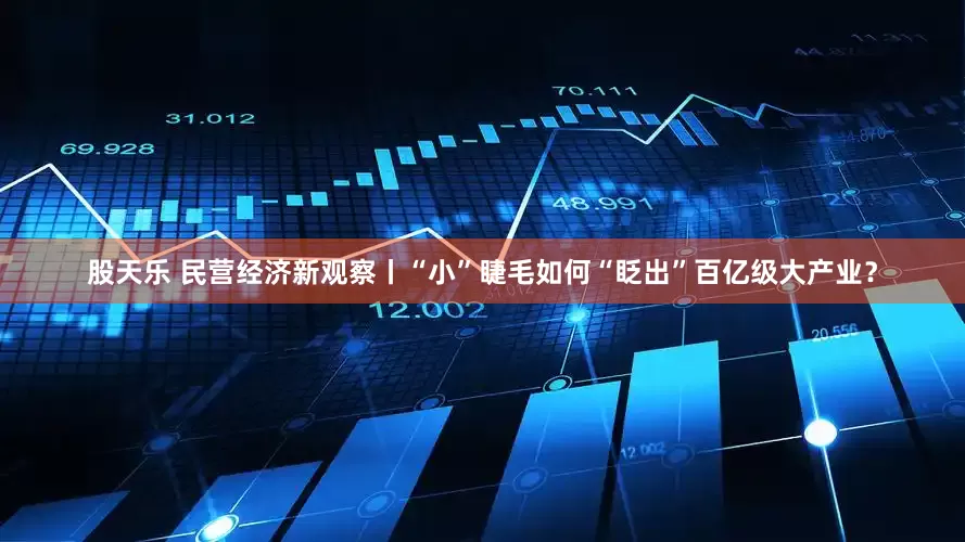 股天乐 民营经济新观察丨“小”睫毛如何“眨出”百亿级大产业？