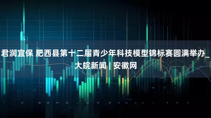 君润宜保 肥西县第十二届青少年科技模型锦标赛圆满举办_大皖新闻 | 安徽网