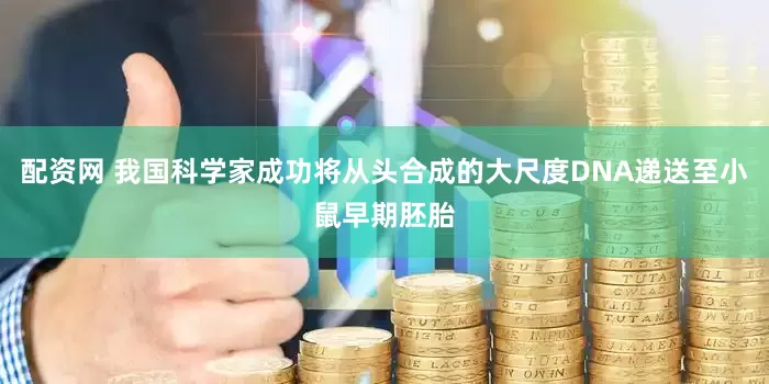 配资网 我国科学家成功将从头合成的大尺度DNA递送至小鼠早期胚胎