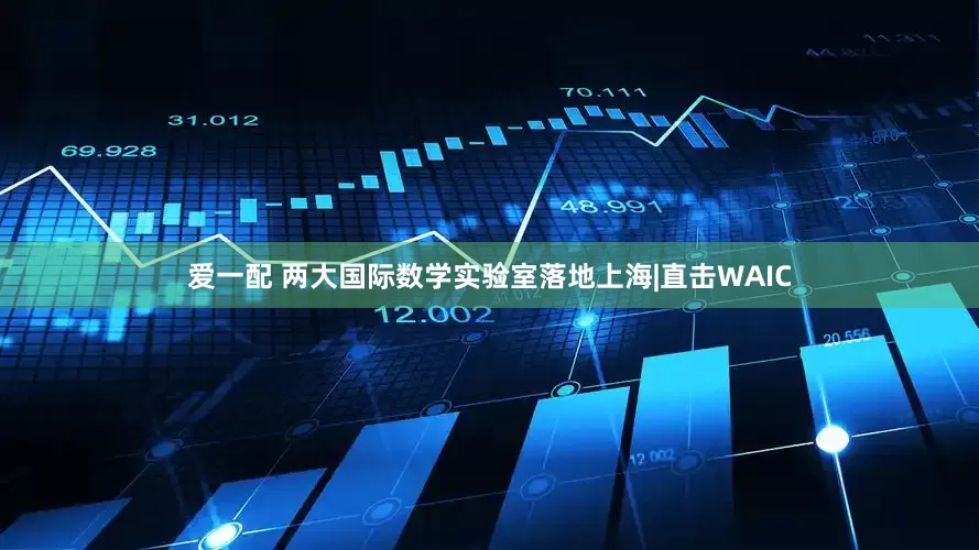 爱一配 两大国际数学实验室落地上海|直击WAIC