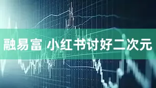融易富 小红书讨好二次元