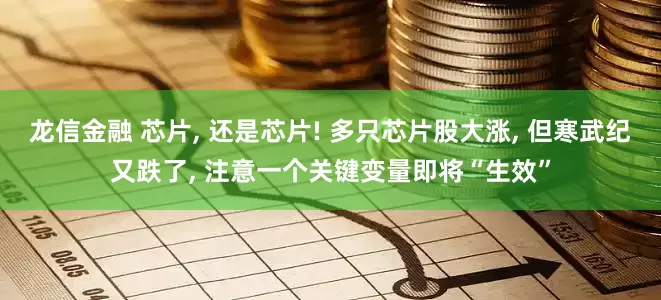 龙信金融 芯片, 还是芯片! 多只芯片股大涨, 但寒武纪又跌了, 注意一个关键变量即将“生效”